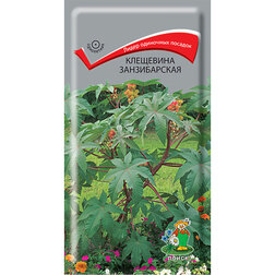 ����  ��������� ������������, ������ �� 41 ���