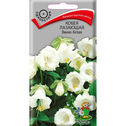 ����  ����� �������� �����-�����, ������ �� 73 ���