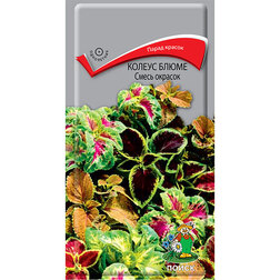 ����  ������ ����� ����� �������, ������ �� 35 ���