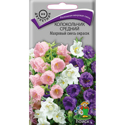 ����  ����������� ������� �������� ����� �������, ������ �� 26 ���