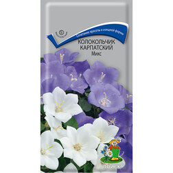 ����  ����������� ���������� ����, ������ �� 26 ���