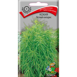 ����  ����� ������ �������, ������ �� 26 ���