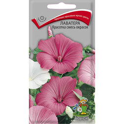 ����  �������� �������� ����� �������, ������ �� 26 ���