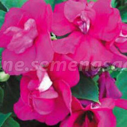 ����  ��������� �������� ����� ����� ����� (1��-100��) ���������������� ������, ������ �� 1360 ���