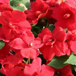 ����  ��������� �������� ����� ��� (1��-1000��), ������ �� 12800 ���