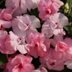 ����  ��������� �������� ����� ������������ (1��-100��) ���������������� ������, ������ �� 1360 ���