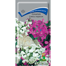 ����  ������� ����� �������, ������ �� 26 ���