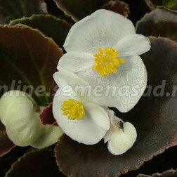 ����  ������� ������������� ��������������� �������� ����� (1��-1000�����) ���������������� ������, ������ �� 1760 ���