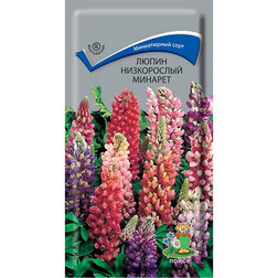 ����  ����� ����������� �������, ������ �� 63 ���