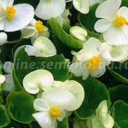 ����  ������� ������������� ������������� ���� ���� ���� (1��-1000�����)���������������� ������, ������ �� 1760 ���