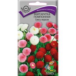 ����  ���������� ��������� ����� �������, ������ �� 28 ���