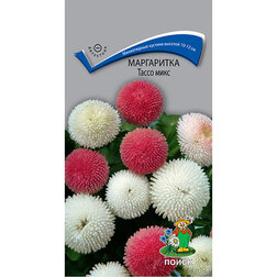 ����  ���������� ����� ����, ������ �� 83 ���