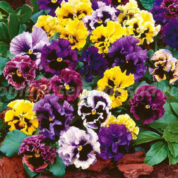 ����  ����� ����� ���� ���� (1��-1000��) ���������������� ������, ������ �� 6400 ���