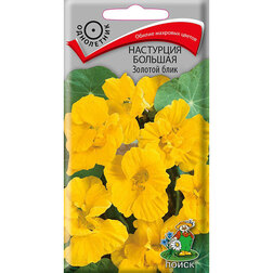 ����  ��������� ������� ������� ����, ������ �� 26 ���