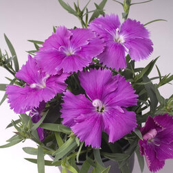 ����  �������� ����� �������� (1��-1000��) ���������������� ������, ������ �� 7680 ���