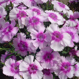 ����  �������� ����� �������� ������ (1��-1000��), ������ �� 7680 ���