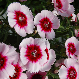 ����  �������� ����� ����� �������� ���� (1��-1000��) ���������������� ������, ������ �� 7680 ���