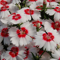 ����  �������� ����� ��� �������� ���� (1��-1000��), ������ �� 7680 ���