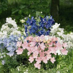 ����  ���������� ����������� ������ ������ (1��-1000��) ���������������� ������, ������ �� 5280 ���