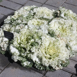 ����  ������� ������������ ������ ���� (1��-1000��) ���������������� ������, ������ �� 4000 ���