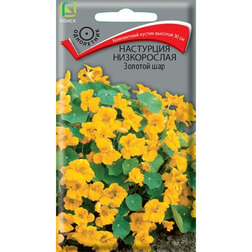 ����  ��������� ����������� ������� ���, ������ �� 28 ���