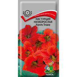 ����  ��������� ����������� ������ ������, ������ �� 27 ���