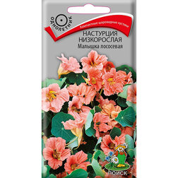 ����  ��������� ����������� ������� ���������, ������ �� 28 ���