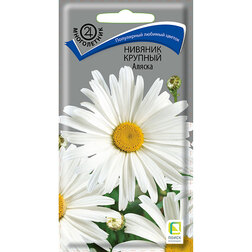 ����  ������� ������� ������, ������ �� 27 ���