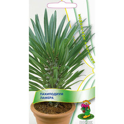 ����  ���������� ������ ���������, ������ �� 81 ���