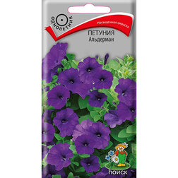 ����  ������� ���������, ������ �� 26 ���