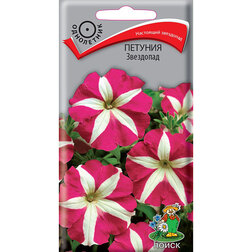 ����  ������� ���������, ������ �� 33 ���