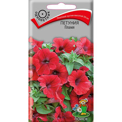 ����  ������� �����, ������ �� 28 ���