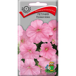 ����  ������� ������� �����, ������ �� 26 ���