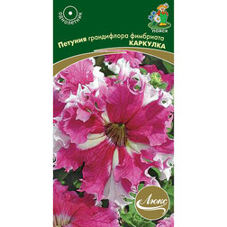 ����  ������� ����������� ��������� ��������, ������ �� 55 ���