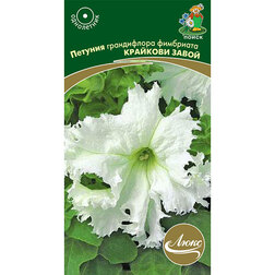 ����  ������� ����������� ��������� �������� �����, ������ �� 55 ���