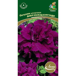 ����  ������� �������� ���� ������ ��������, ������ �� 117 ���