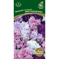 ����  ������� �������� ���� ������ ����, ������ �� 117 ���