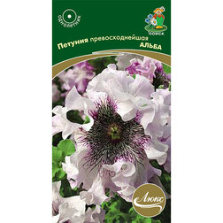 ����  ������� ��������������� �����, ������ �� 56 ���