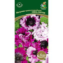 ����  ������� ��������������� ����� ������, ������ �� 56 ���