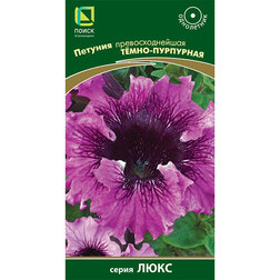 ����  ������� ��������������� Ҹ���-���������, ������ �� 56 ���