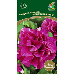 ����  ������� �������� ���� ������ ����, ������ �� 117 ���