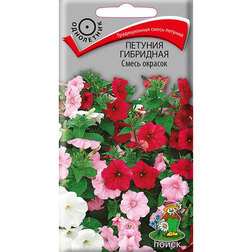 ����  ������� ��������� ����� �������, ������ �� 26 ���