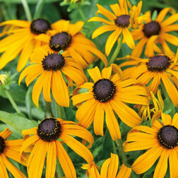 ����  �������� ��������� ��������� (1��-1000��) ���������������� ������, ������ �� 6400 ���