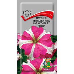 ����  ������� ����������� ��������� F1 �������, ������ �� 46 ���