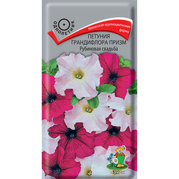 ����  ������� ����������� ����� ��������� �������, ������ �� 81 ���