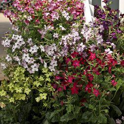 ����  ����� ������ ���� (1000�����), ������ �� 2880 ���