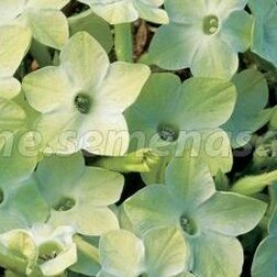 ����  ����� ������ F1 ������ ���� (1��-1000�����), ������ �� 2560 ���