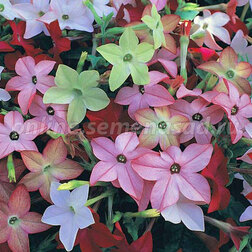 ����  ����� ������ F1 ������ ���� (1��-1000�����) ���������������� ������, ������ �� 2560 ���