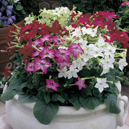 ����  ����� �������� ���� (1��-1000�����)���������������� ������, ������ �� 3200 ���