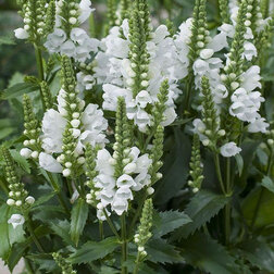 ����  ���������� �������� ��� ���� (1��-1000��) ���������������� ������, ������ �� 12480 ���